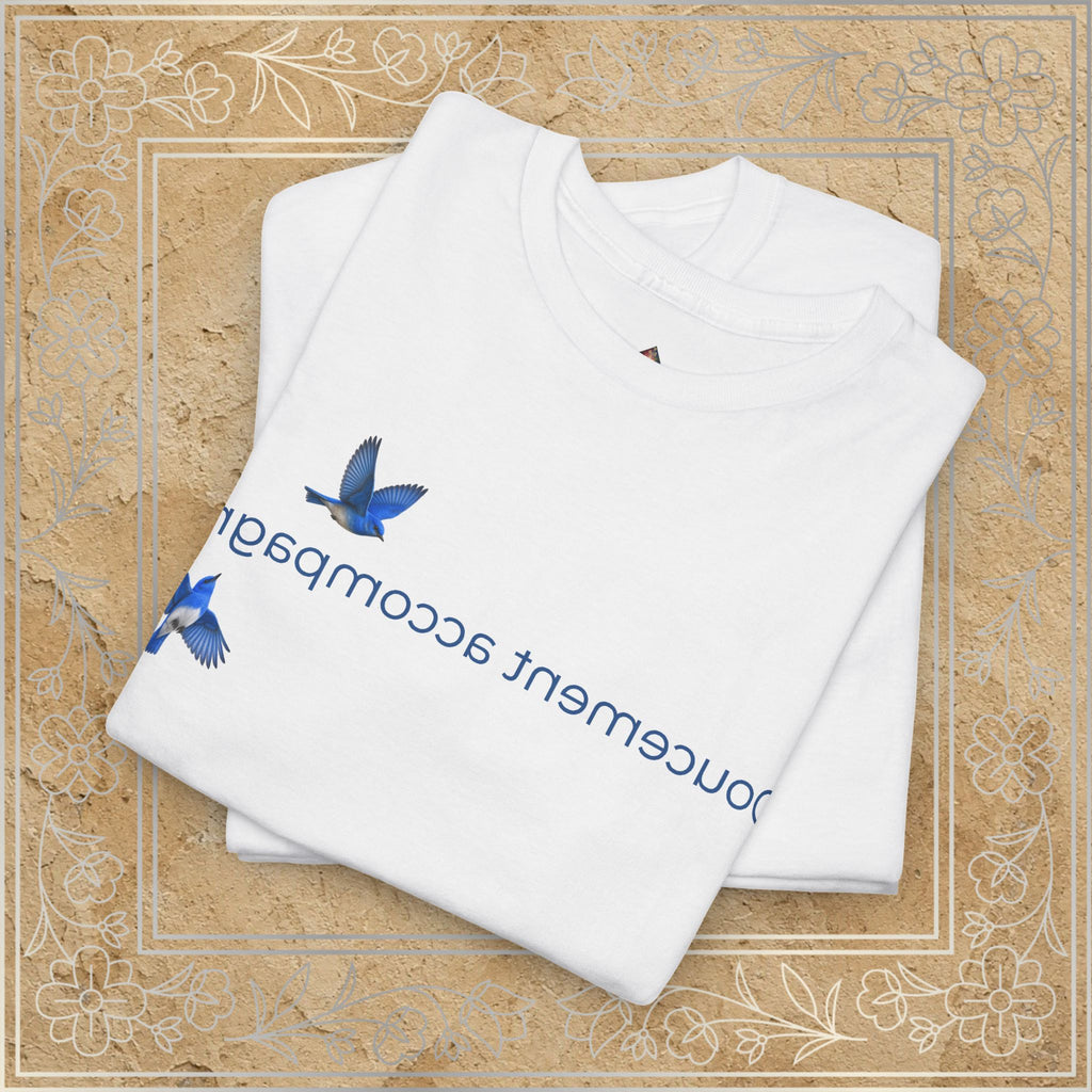 Mirror Message - "Doucement accompagné" (Softly accompanied)